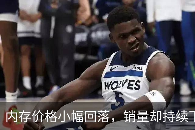 内存价格小幅回落，销量却持续下滑，市场回暖遥遥无期